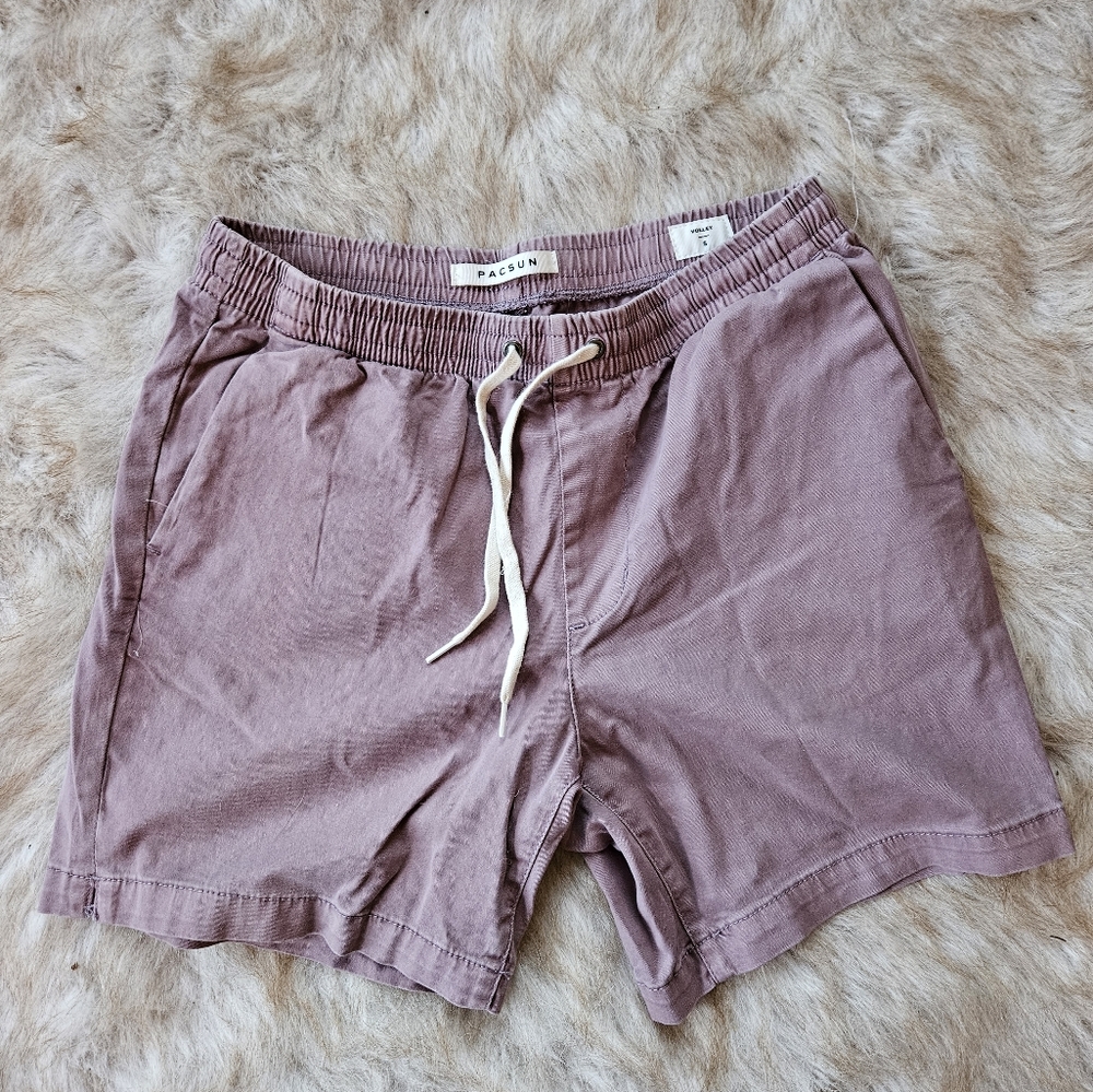 Men's Plum colored pacsun shorts